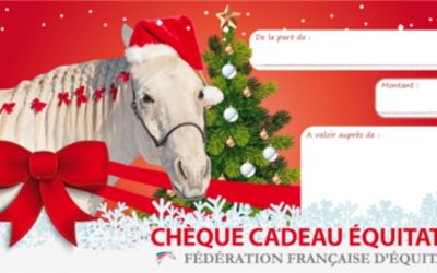A Noël, offrez de l&rsquo;équitation!