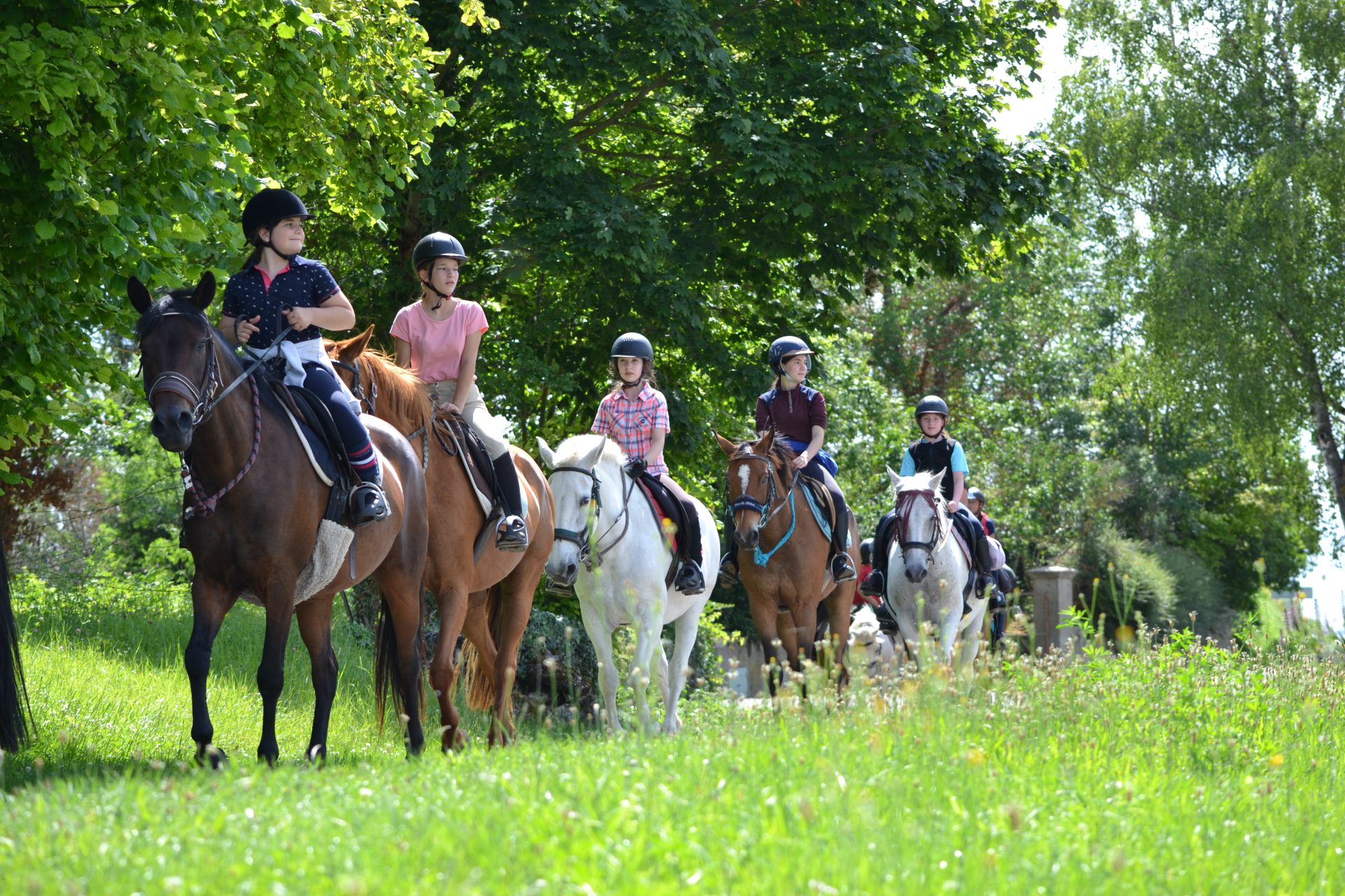 DSC-0056top